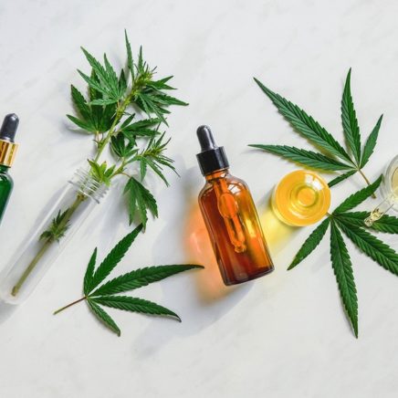 cannabis cannabidiol cbd