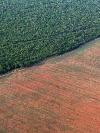deforestation amazonie