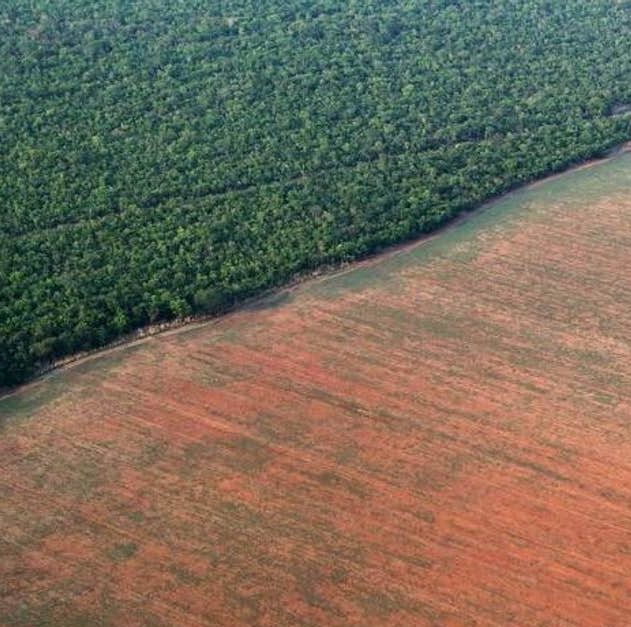 deforestation amazonie