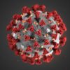 structure SARS-CoV-2