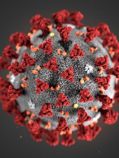 structure SARS-CoV-2