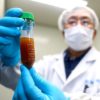 coronavirus virus covid-19 course vaccins