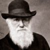 darwin evolution