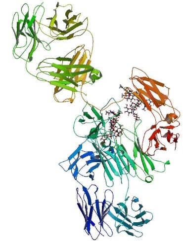 structure tocilizumab