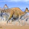 traces adn vieilles 75 millions annees decouvertes dans cartilage dinosaure Hypacrosaurus stebingeri