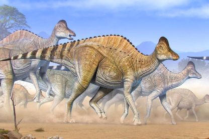 traces adn vieilles 75 millions annees decouvertes dans cartilage dinosaure Hypacrosaurus stebingeri