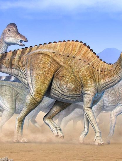 traces adn vieilles 75 millions annees decouvertes dans cartilage dinosaure Hypacrosaurus stebingeri