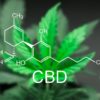 cbd cancer cerveau aggressif