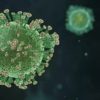 coronavirus mutation sars-cov-2