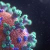 ivermectine coronavirus