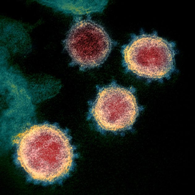 liaison forte coronavirus récepteur humain