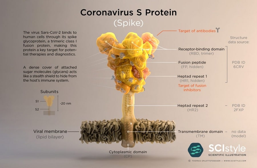 pic coronavirus