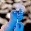 coronavirus sars cov 2 covid-19