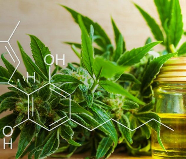 cannabis chanvre cbd huile produit type