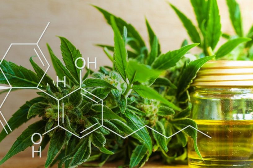 cannabis chanvre cbd huile produit type