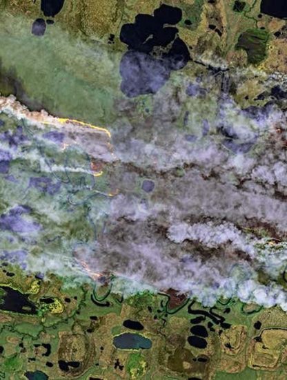 incendie feu zombie
