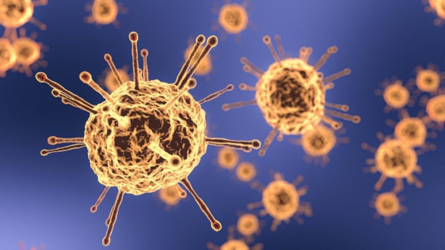 traitement coronavirus anticorps neutralisants