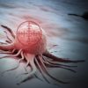 cellule cancereuse cancer immunitaire système