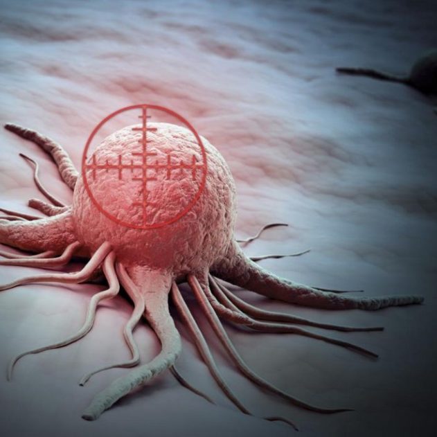 cellule cancereuse cancer immunitaire système
