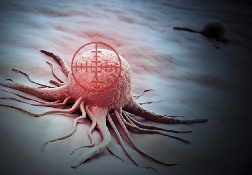 cellule cancereuse cancer immunitaire système