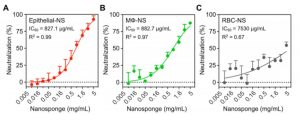 efficacité nano-éponges infectivité coronavirus