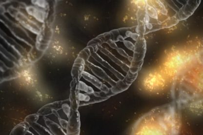 embryons modifiés CRISPR anomalies imprévues