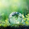 environnement