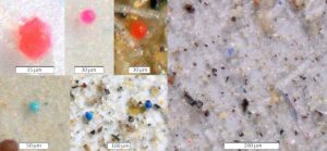 microplastiques poussières zones sauvages 
