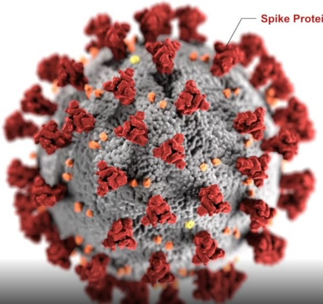 modélisation protéine pointe coronavirus open source