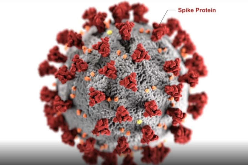 modélisation protéine pointe coronavirus open source