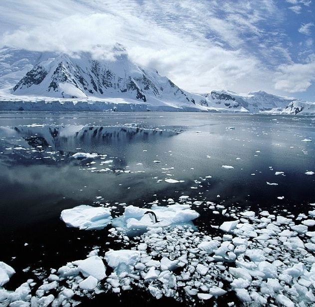 rechauffement antarctique