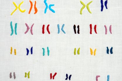 séquençage complet chromosome X