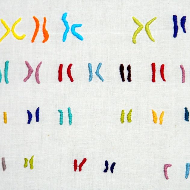 séquençage complet chromosome X
