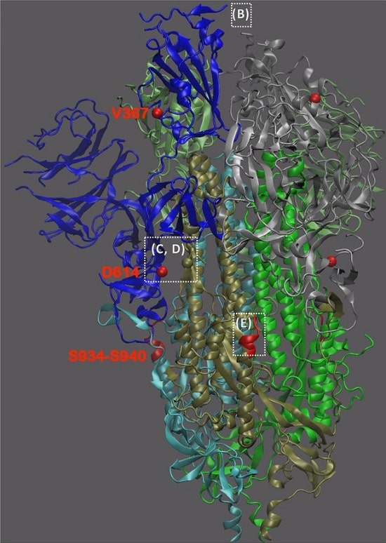 sites mutation