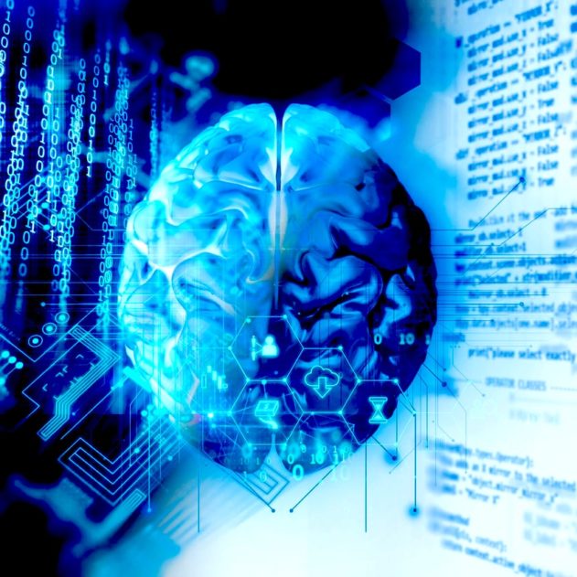cerveau atlas human brain project