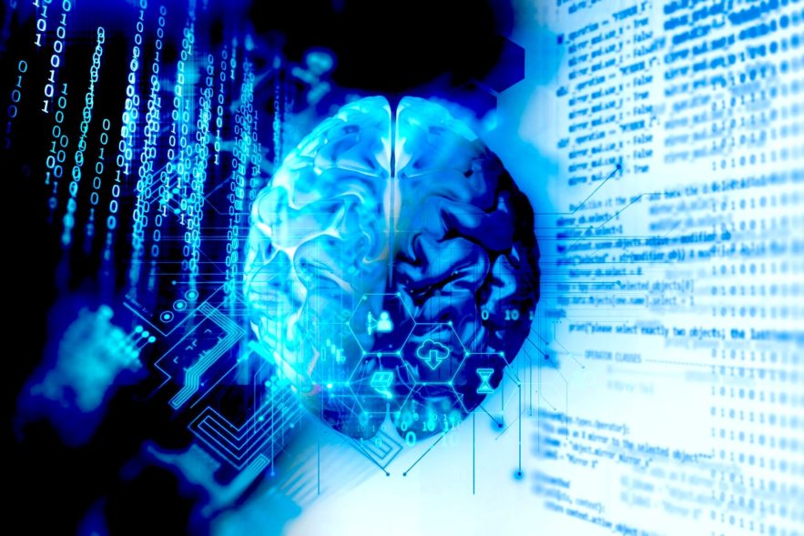 cerveau atlas human brain project