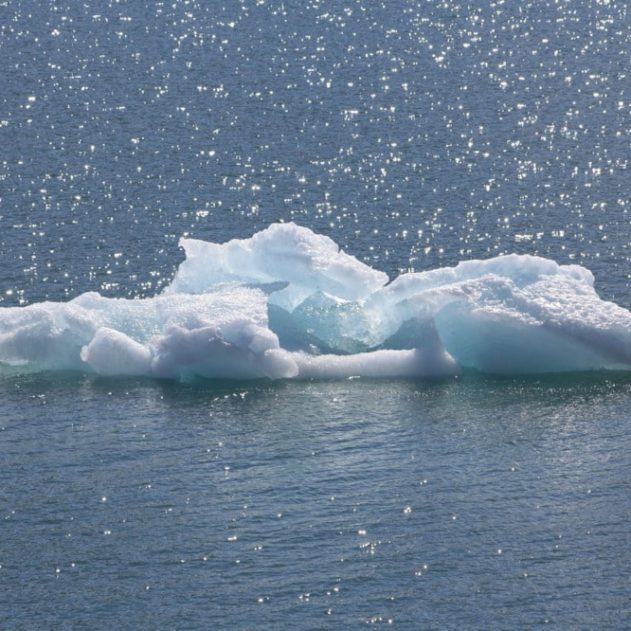 fonte glace banquise arctique 2035