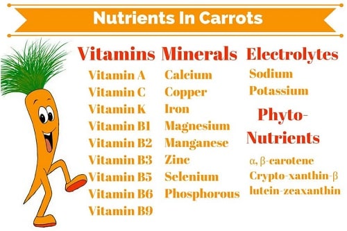 nutriments carotte