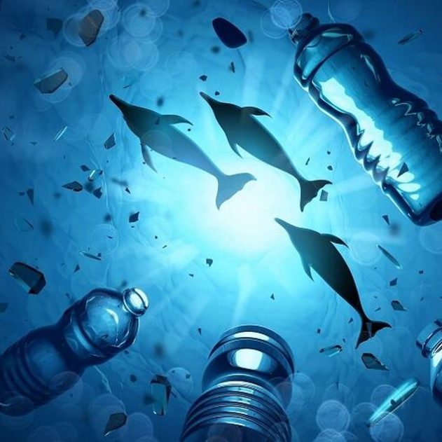 plastiques microplastiques océan pollution