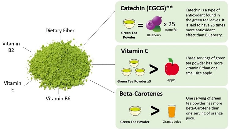Composition des éléments fibres de catéchines de thé vert
