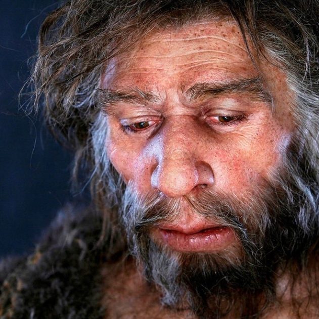 étendue intelligence capacités cognitives homme néandertal