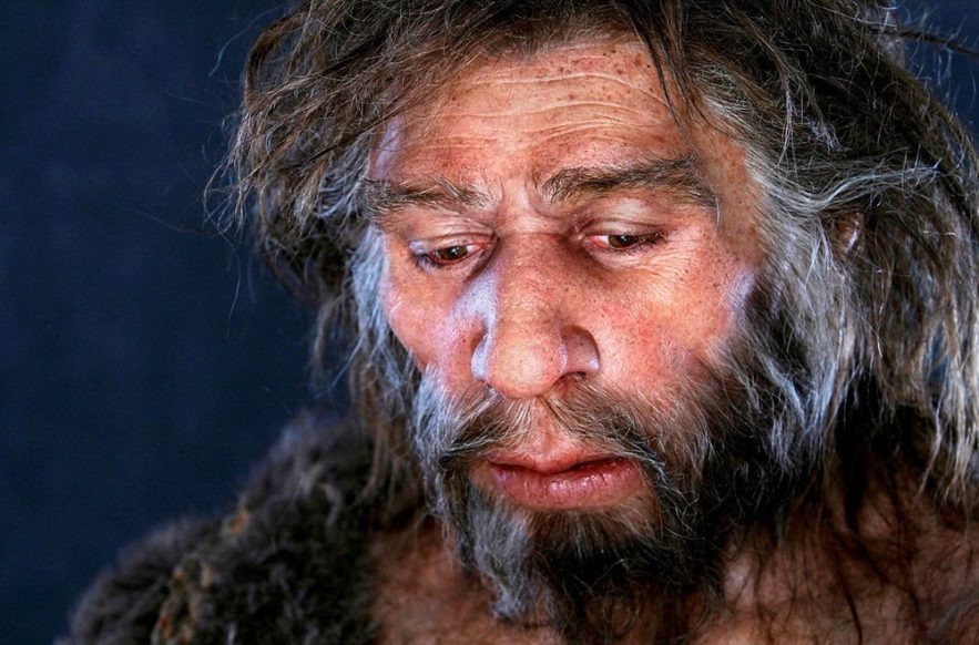 étendue intelligence capacités cognitives homme néandertal