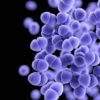 nouveau medicament contre super-bacteries mortelles pourrait sauver dizaines milliers de vies