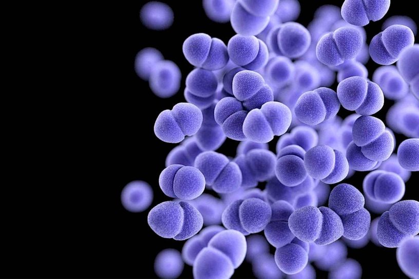 nouveau medicament contre super-bacteries mortelles pourrait sauver dizaines milliers de vies
