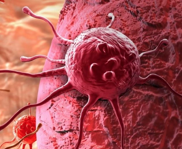 nouveau traitement expérimental détruit cellules cancéreuses sans médicament couv