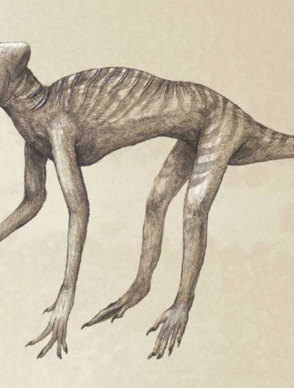 représentation babouin squelette kosemen