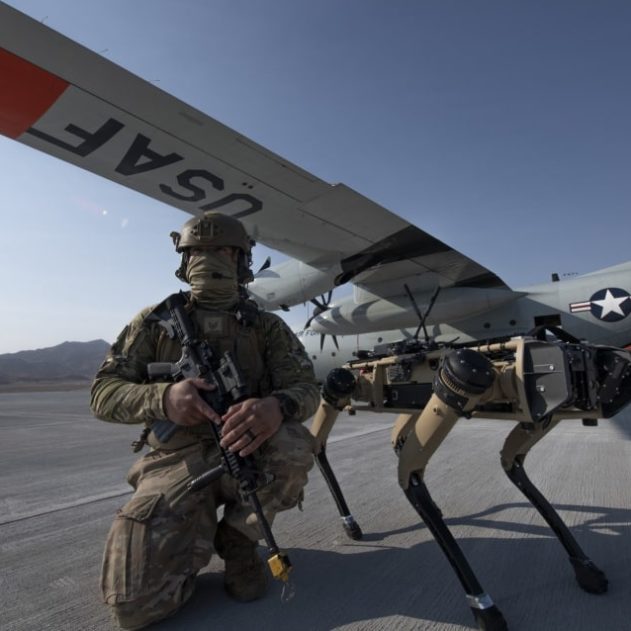 test chiens robots armée air américaine