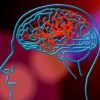cause maladie alzheimer attribuee mutation enzyme commune