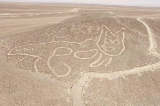 découverte géoglyphe chat désert Nazca vieux 2000 ans couv