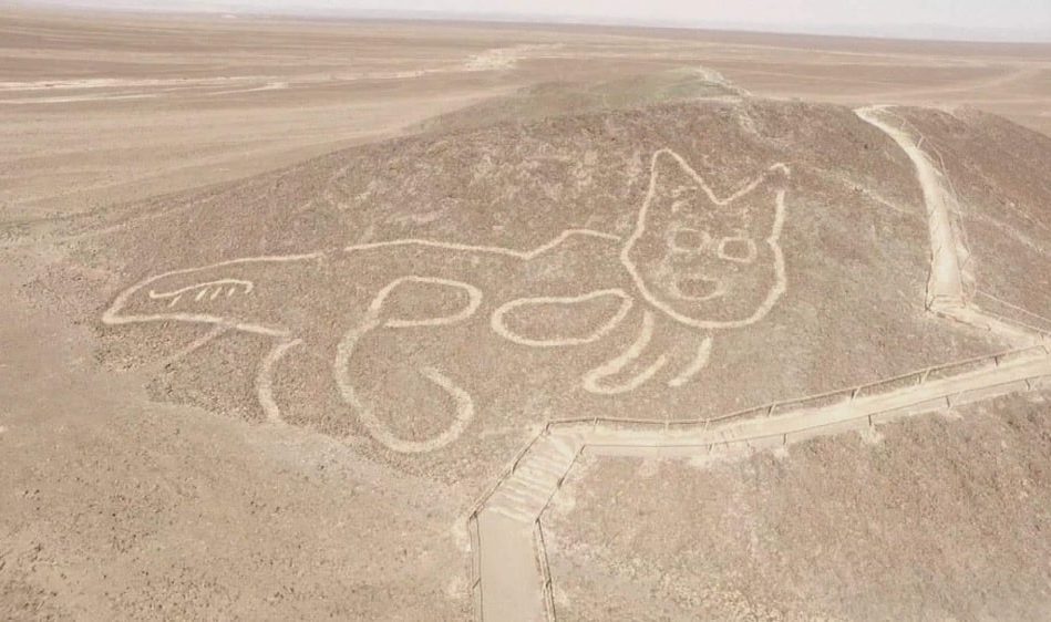 découverte géoglyphe chat désert Nazca vieux 2000 ans couv